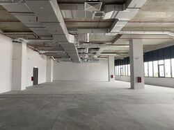 Jackson Design Hub (D19), Factory #531770341